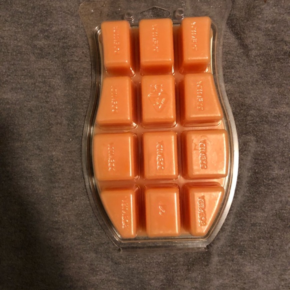 Other New Caramel Vanilla Delight Scentsy Brick Poshmark